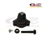 ROTULA INFERIOR CELEBRITY CITATION 80/88 (02A-1112)