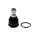 ROTULA INFERIOR NISSAN MURANO Z50 2003/2009
